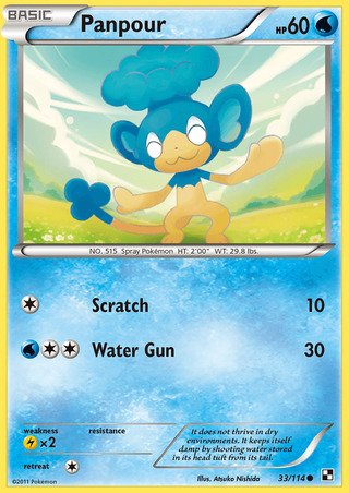 Panpour 33/114 Common Pokemon Card (Black & White)