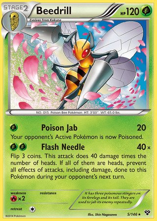 Beedrill 5/146 Rare Pokemon Card (XY Base Set)