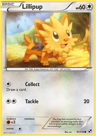 Lillipup 81/114 Common Pokemon Card (Black & White)