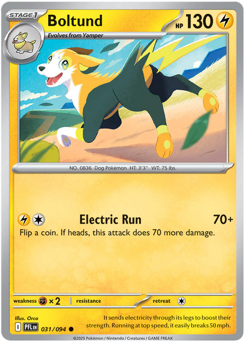 Boltund 031/094 Common Pokemon Card (Mega Evolution Phantasmal Flames)