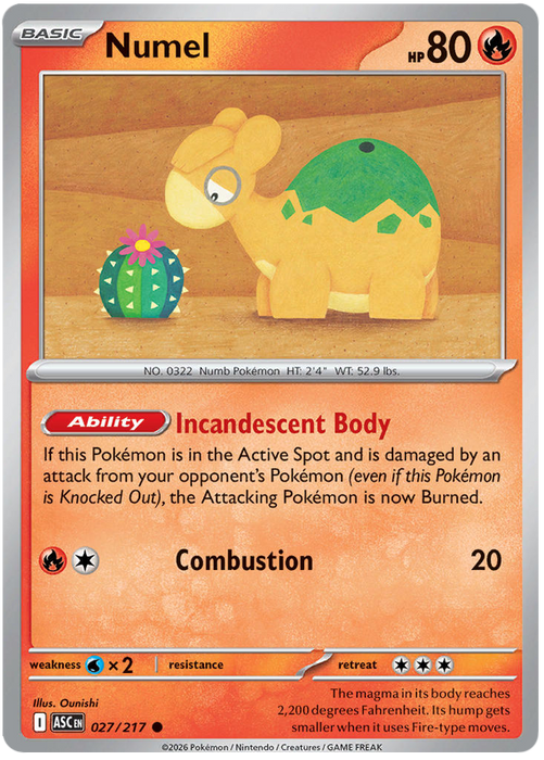 Numel 027/217 Common Pokemon Card (Mega Evolution Ascended Heroes)