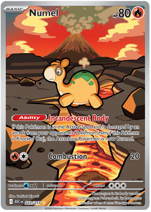 Numel 223/217 Illustration Rare Pokemon Card (Mega Evolution Ascended Heroes)