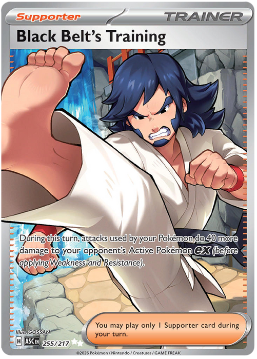 Black Belt's Training 255/217 Ultra Rare Pokemon Card (Mega Evolution Ascended Heroes)