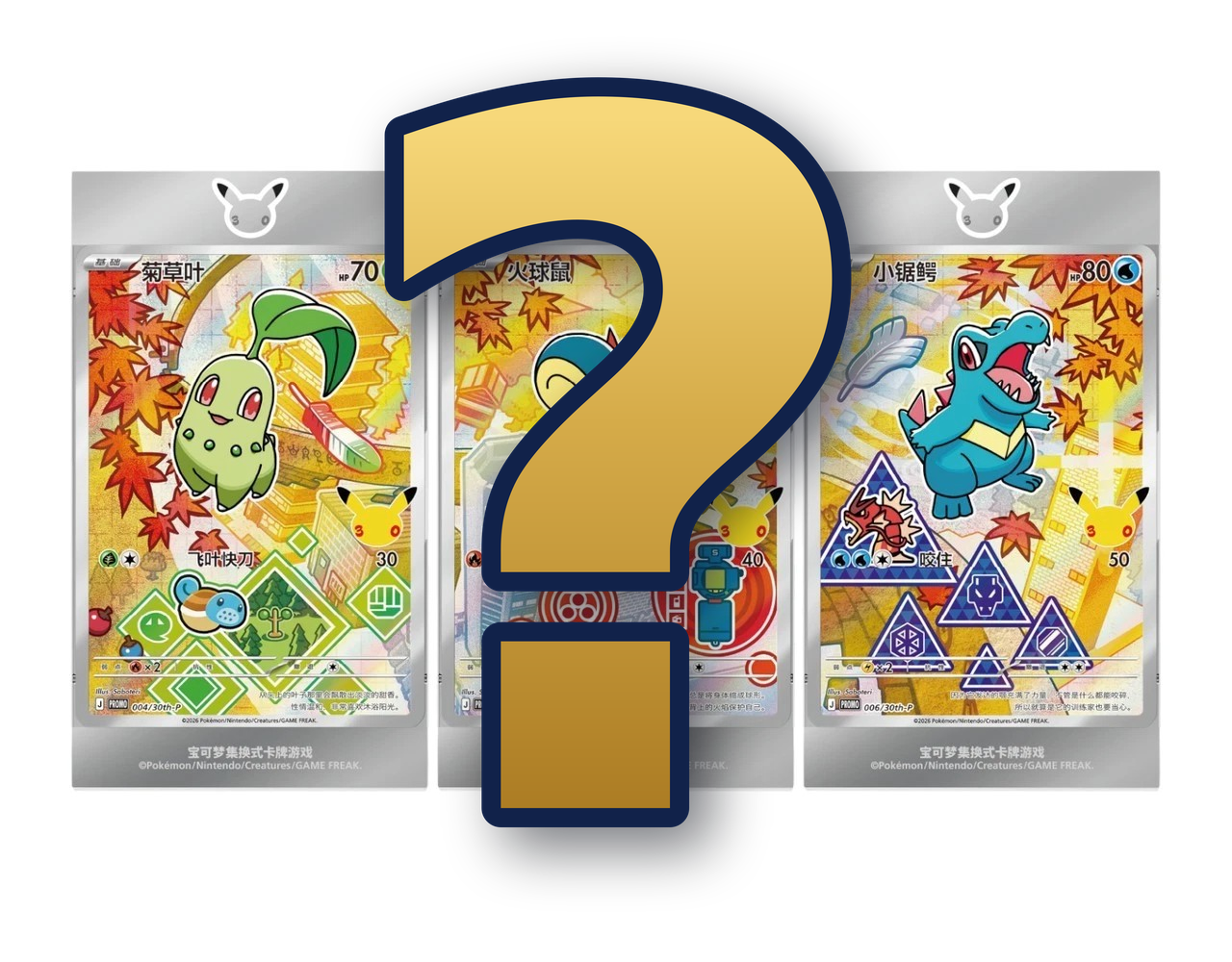 Chinese Pokémon Sealed Products UK | Authentic Gift Sets & Premium Collections – Titan Cards