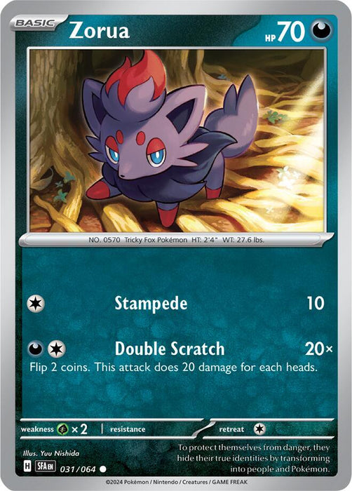 Zorua 031/063  Common Pokemon Card (SV Shrouded Fable)