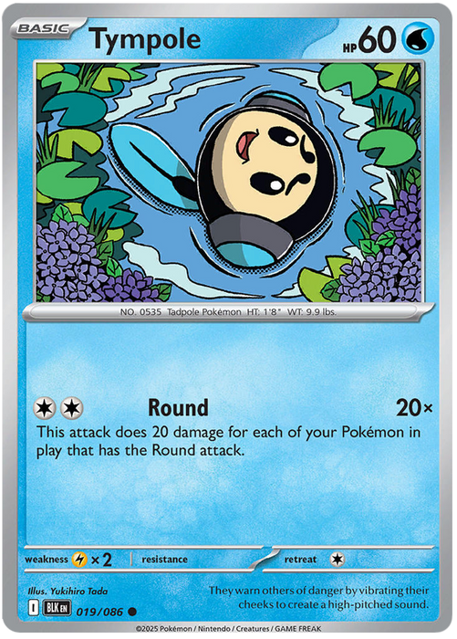 Tympole 019/086 Common Pokemon Card (Scarlet & Violet Black Bolt)