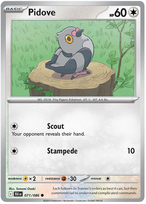 Pidove 071/086 Common Pokemon Card (Scarlet & Violet Black Bolt)