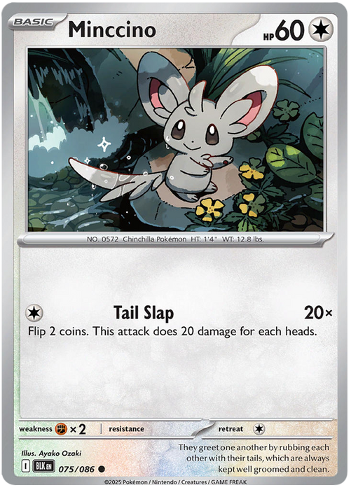 Minccino 075/086 Common Pokemon Card (Scarlet & Violet Black Bolt)