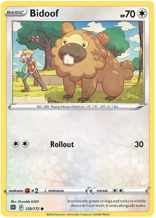 Bidoof 120/172 Common Pokemon Card (SWSH Brilliant Stars)