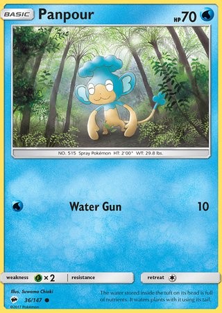 Panpour 36/147 Common Pokemon Card (Burning Shadows) — Titan Cards Ltd