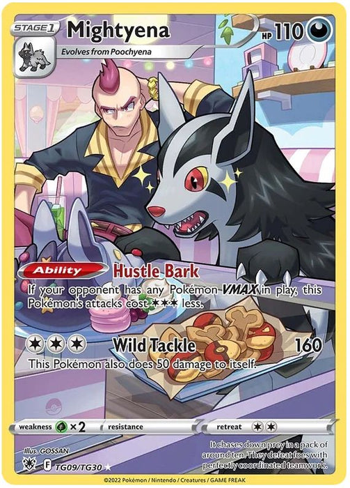 Mightyena TG09/TG30 Pokemon Card (SWSH Astral Radiance Trainer Gallery)